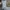 Dickies Vintage Streetwear Other Pria tan cream photo 6