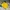 Casual T-shirt Pria yellow photo 2