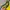 Casual T-shirt Pria yellow photo 4