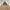 Carhartt Streetwear Casual Harrington jacket Pria tan brown photo 2