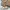 Carhartt Streetwear Casual Harrington jacket Pria tan brown photo 8