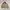 Carhartt Streetwear Casual Harrington jacket Pria tan brown photo 5