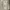 Carhartt Streetwear Casual Harrington jacket Pria tan brown photo 3