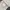 Dickies Minimalist Casual Sweatshirt Pria multicolor gray photo 6