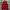 Dickies Streetwear Sportswear Vest Pria red photo 2
