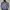 Carhartt Vintage Casual Hoody Pria black gray photo 1