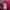 Aigner Streetwear Casual Windbreaker Wanita pink black photo 5