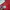 Ocean Pacific Streetwear Casual Puffer jacket Pria red blue photo 5
