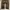 Vintage Jeans Pria brown cream photo 3