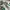 Onitsuka Tiger Indie Casual Sneakers Wanita white green photo 2