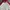 Ellesse Sportswear Windbreaker Pria white red photo 3