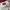 Ellesse Sportswear Windbreaker Pria white red photo 7