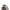 Asics Vintage Sportswear Hat Pria white photo 7