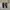 Sportswear Casual Sneakers Pria black photo 1