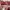 Prada Bags & purse Wanita pink photo 3