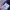 Adidas Sportswear Casual Tracksuit Pria white navy photo 4