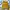 Reebok Casual Sweatshirt Pria Yellow