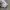 Nike Casual Windbreaker Pria white photo 5