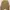 Casual Sweater Wanita tan brown photo 1