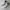 Adidas Casual Sneakers Pria white photo 2