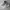 Adidas Casual Sneakers Pria white photo 1