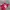 Y2K Sportswear Jersey Pria red photo 5