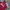 Y2K Sportswear Jersey Pria red photo 2