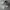 Adidas Casual Sneakers Pria gray photo 1