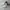 Adidas Casual Sneakers Pria gray photo 2