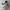 VANS Biker Casual Sneakers Pria white gray photo 1