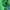 Casual Sweatshirt Pria green photo 5