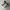 Converse Biker Casual Sneakers Pria white green photo 1