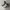 Converse Biker Casual Sneakers Pria White Green