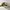 Converse Biker Casual Sneakers Pria white green photo 3