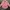 Casual T-shirt Pria pink photo 5