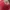 Vintage Streetwear Sweatshirt Wanita red photo 2