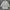 Luxury Casual Casual shirt Pria multicolor photo 1
