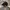 Jeep Vintage Streetwear Hat Pria black photo 2