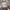ZARA Vintage Grunge Hat Pria tan photo 1