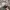 ZARA Vintage Grunge Hat Pria tan photo 2