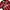 Lotto Sport Italia Vintage Sportswear Jersey Pria red black photo 3