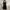Casual Casual dress Wanita black photo 1