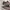 Adidas Casual Sneakers Pria multicolor photo 2