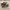Adidas Casual Sneakers Pria multicolor photo 1