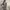 H&M Minimalist Casual Casual dress Wanita gray photo 1