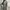 H&M Minimalist Casual Casual dress Wanita gray photo 2