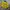 Nike Vintage Y2K Jersey Pria Yellow