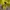 Nike Vintage Y2K Jersey Pria yellow photo 4