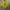 Nike Vintage Y2K Jersey Pria yellow photo 6