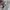 Off-White Streetwear Casual Hoody Pria white photo 7